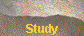  Study 