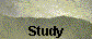  Study 