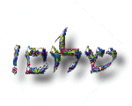 nshalom.gif